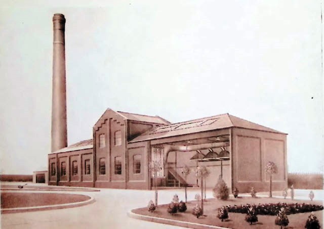 Frog Lane Cleansing Depot